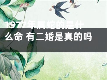 1977年属蛇的是什么命 有二婚是真的吗