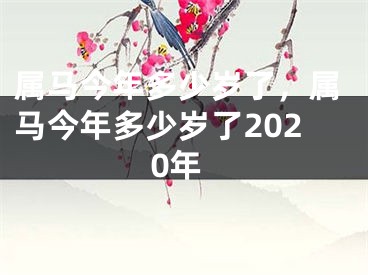 属马今年多少岁了,属马今年多少岁了2020年