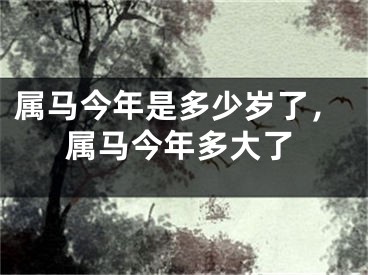 属马今年是多少岁了，属马今年多大了