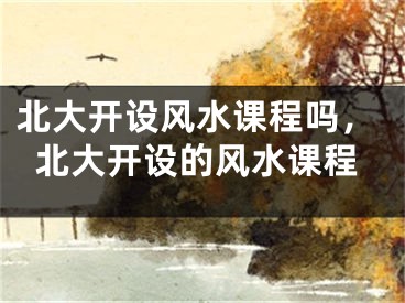 北大开设风水课程吗，北大开设的风水课程