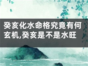 癸亥化水命格究竟有何玄机,癸亥是不是水旺