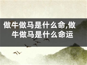 做牛做马是什么命,做牛做马是什么命运