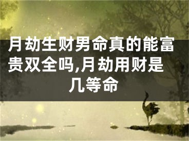 月劫生财男命真的能富贵双全吗,月劫用财是几等命