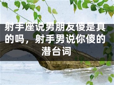 射手座说男朋友傻是真的吗,射手男说你傻的潜台词