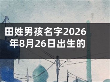 田姓男孩名字2026年8月26日出生的