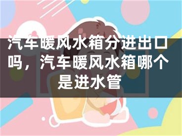 汽车暖风水箱分进出口吗，汽车暖风水箱哪个是进水管