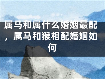 属马和属什么婚姻最配，属马和猴相配婚姻如何