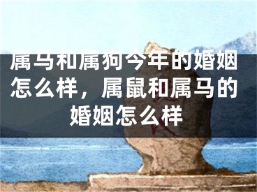 属马和属狗今年的婚姻怎么样，属鼠和属马的婚姻怎么样
