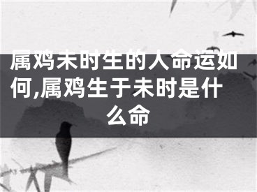 属鸡未时生的人命运如何,属鸡生于未时是什么命