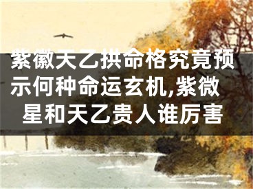 紫徽天乙拱命格究竟预示何种命运玄机,紫微星和天乙贵人谁厉害
