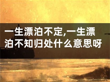 一生漂泊不定,一生漂泊不知归处什么意思呀
