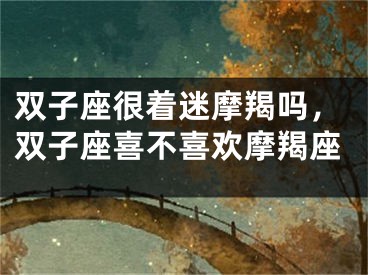 双子座很着迷摩羯吗，双子座喜不喜欢摩羯座