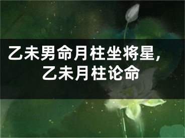 乙未男命月柱坐将星,乙未月柱论命