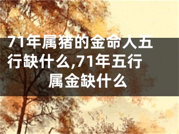 71年属猪的金命人五行缺什么,71年五行属金缺什么