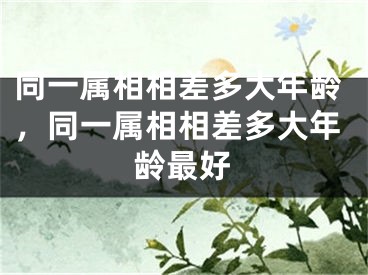 同一属相相差多大年龄，同一属相相差多大年龄最好