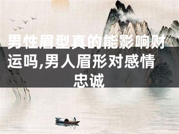 男性眉型真的能影响财运吗,男人眉形对感情忠诚