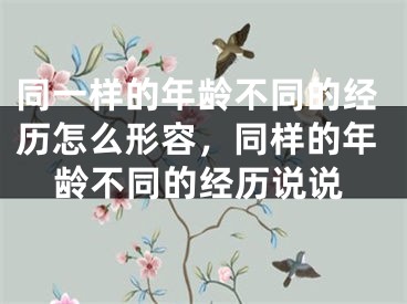 同一样的年龄不同的经历怎么形容,同样的年龄不同的经历说说
