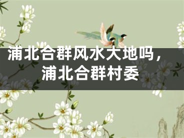 浦北合群风水大地吗，浦北合群村委