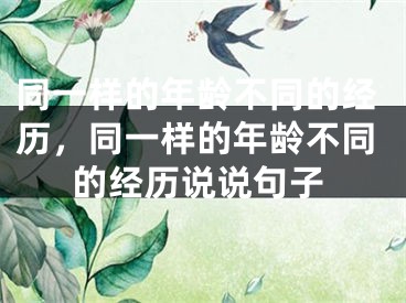 同一样的年龄不同的经历,同一样的年龄不同的经历说说句子