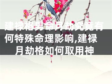 建禄格男命月劫究竟有何特殊命理影响,建禄月劫格如何取用神