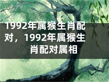 1992年属猴生肖配对，1992年属猴生肖配对属相