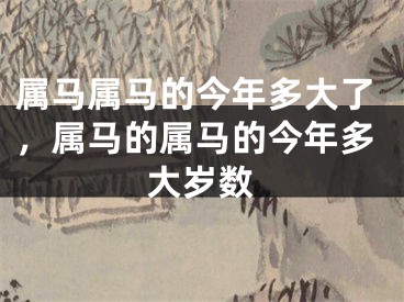 属马属马的今年多大了，属马的属马的今年多大岁数