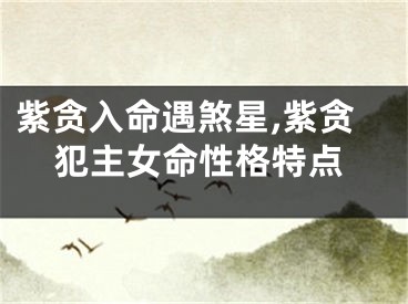 紫贪入命遇煞星,紫贪犯主女命性格特点