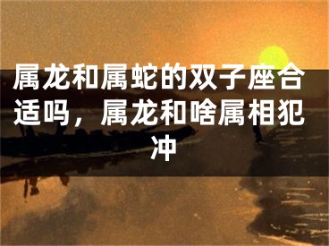 属龙和属蛇的双子座合适吗，属龙和啥属相犯冲