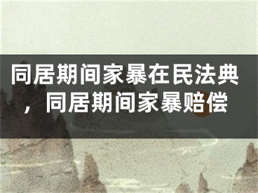 同居期间家暴在民法典，同居期间家暴赔偿