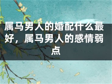 属马男人的婚配什么最好，属马男人的感情弱点