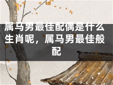 属马男最佳配偶是什么生肖呢，属马男最佳般配