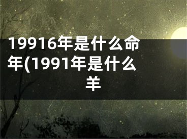 19916年是什么命年(1991年是什么羊