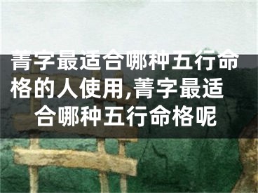 菁字最适合哪种五行命格的人使用,菁字最适合哪种五行命格呢