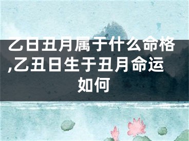 乙日丑月属于什么命格,乙丑日生于丑月命运如何