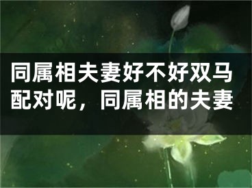 同属相夫妻好不好双马配对呢，同属相的夫妻