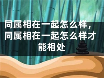 同属相在一起怎么样，同属相在一起怎么样才能相处
