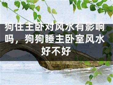狗住主卧对风水有影响吗,狗狗睡主卧室风水好不好