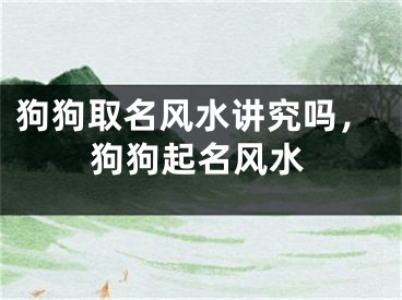 狗狗取名风水讲究吗,狗狗起名风水