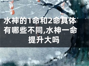 水神的1命和2命具体有哪些不同,水神一命提升大吗