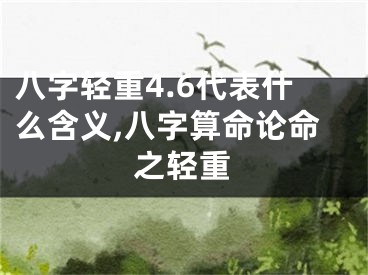 八字轻重4.6代表什么含义,八字算命论命之轻重