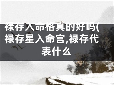禄存入命格真的好吗(禄存星入命宫,禄存代表什么