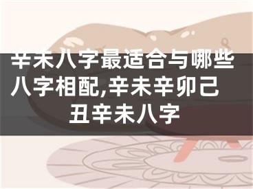 辛未八字最适合与哪些八字相配,辛未辛卯己丑辛未八字