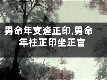男命年支逢正印,男命年柱正印坐正官