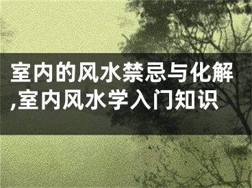 室内的风水禁忌与化解,室内风水学入门知识