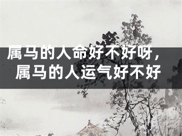 属马的人命好不好呀,属马的人运气好不好