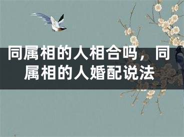 同属相的人相合吗，同属相的人婚配说法
