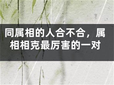 同属相的人合不合,属相相克最厉害的一对