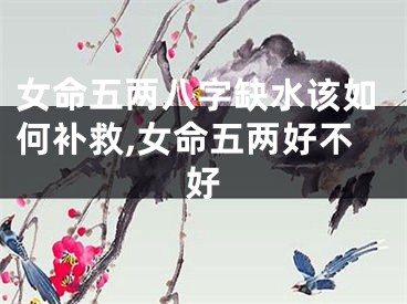 女命五两八字缺水该如何补救,女命五两好不好