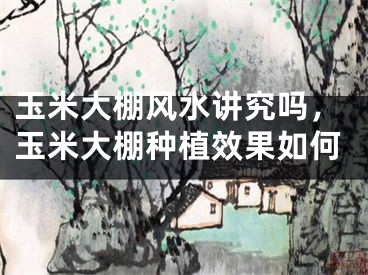 玉米大棚风水讲究吗,玉米大棚种植效果如何