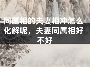 同属相的夫妻相冲怎么化解呢,夫妻同属相好不好